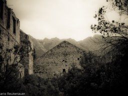 Argentella