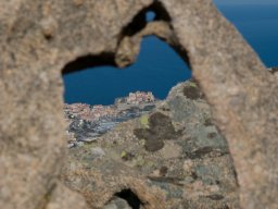 Calvi26