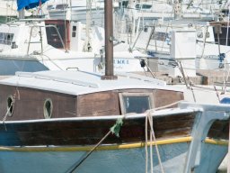 Calvi31