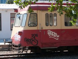 Calvi59