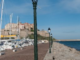 Calvi74