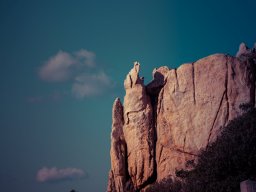 Silhouettes04
