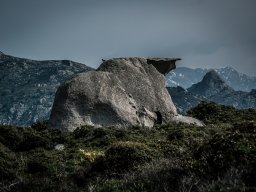 Silhouettes06