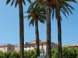 Balagne41